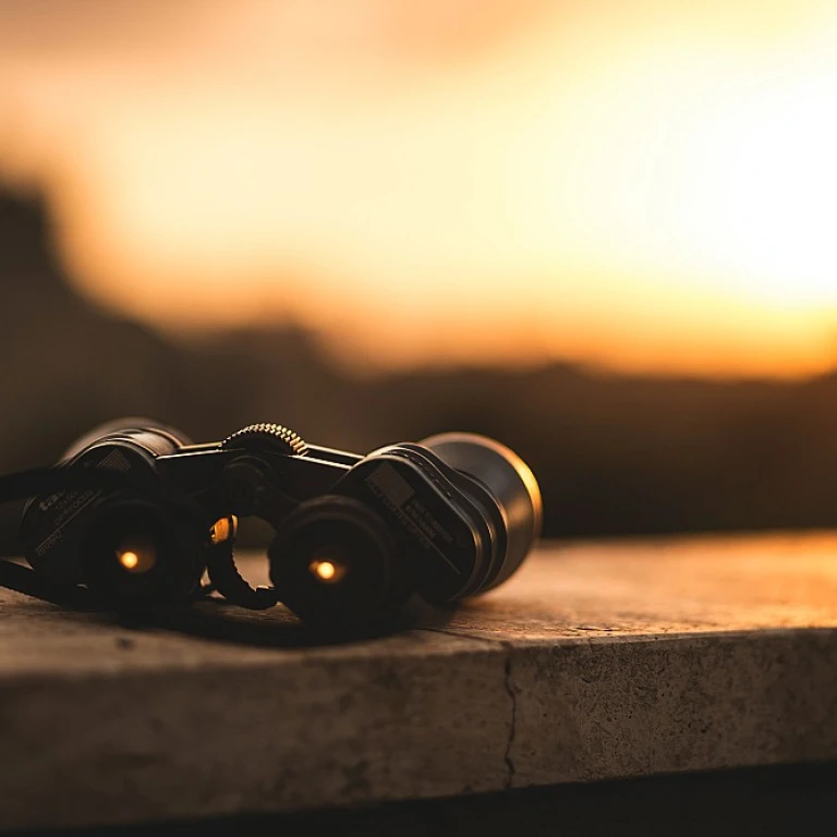 Navigating the World of Software Engineering Recruiters