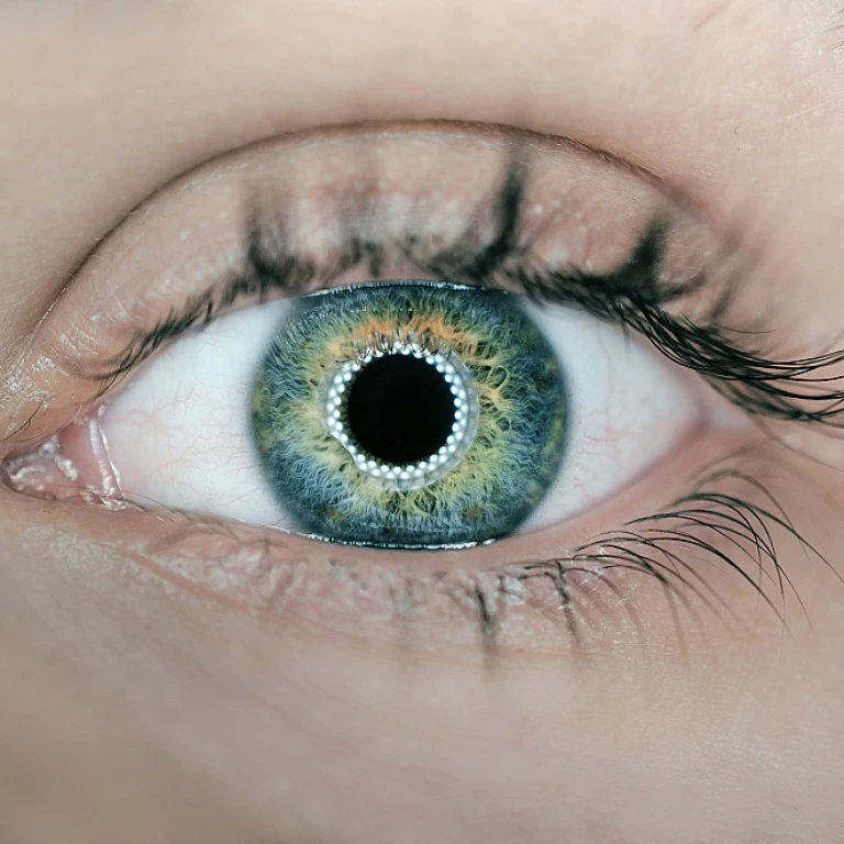 Navigating Change Management in Procurement Transformation