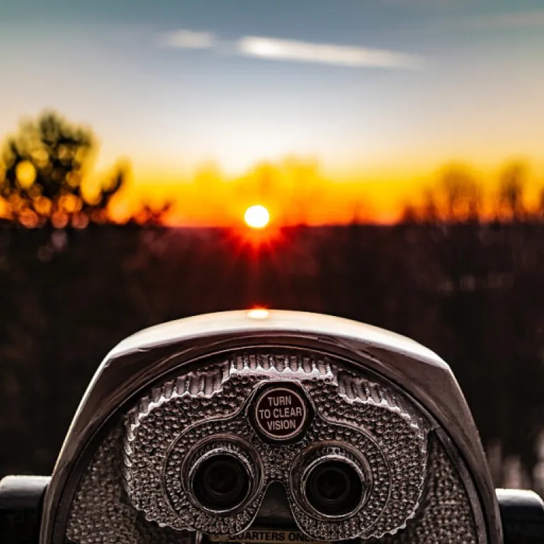 Understanding the Differences: Chief of Staff vs. Executive Assistant