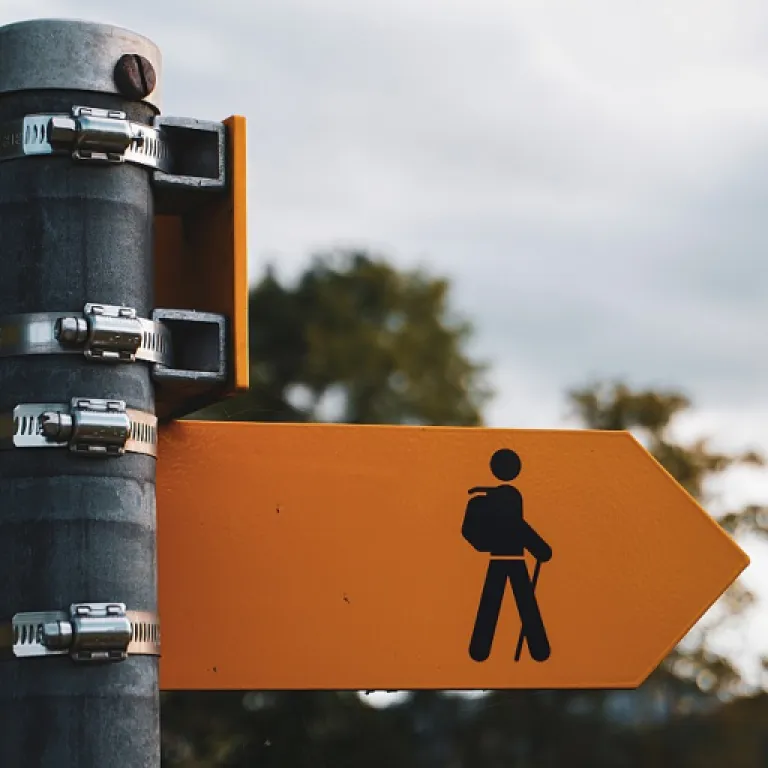 Mastering the art of how to hire: strategies for building a great team