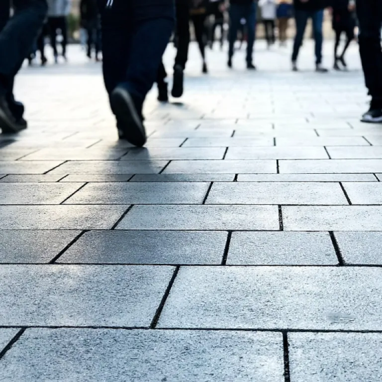 Making sense of the modern application process for job seekers