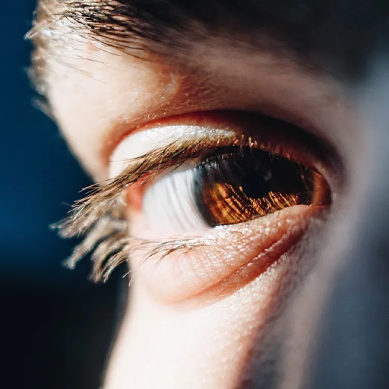 How hr software tracking reshapes hiring, performance and employee trust
